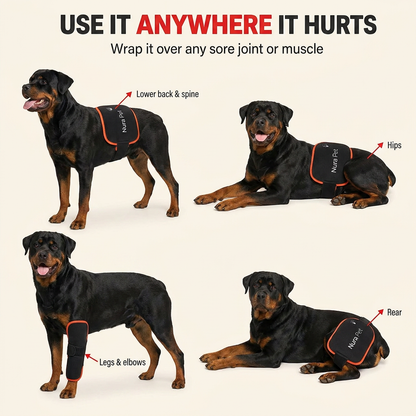 Nura Dog Red Light Pad
